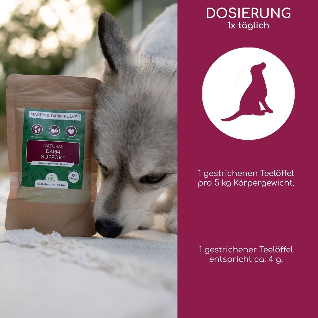 Magen & Darm Pulver - Wolfsbacher Natur - empact brands - 