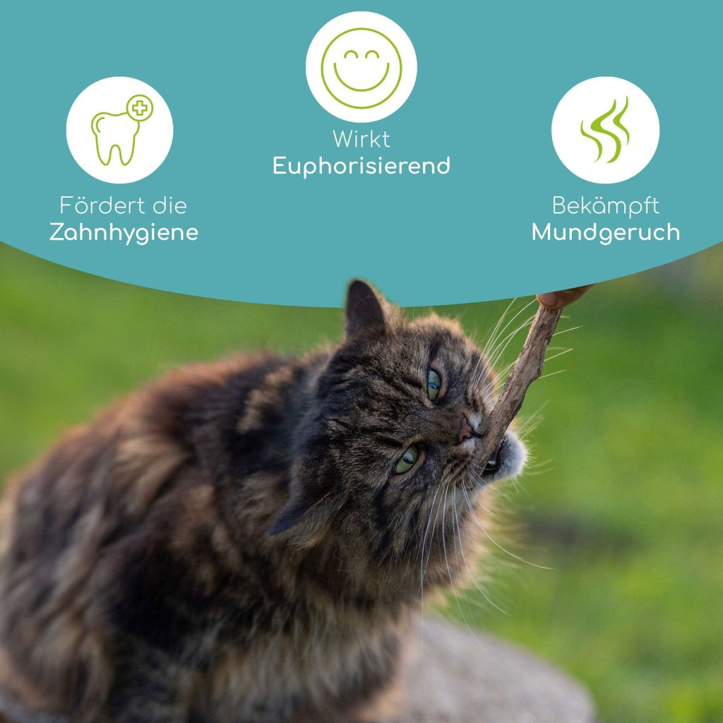 Matatabi Minze Sticks für Katzen - Wolfsbacher Natur - empact brands - Default