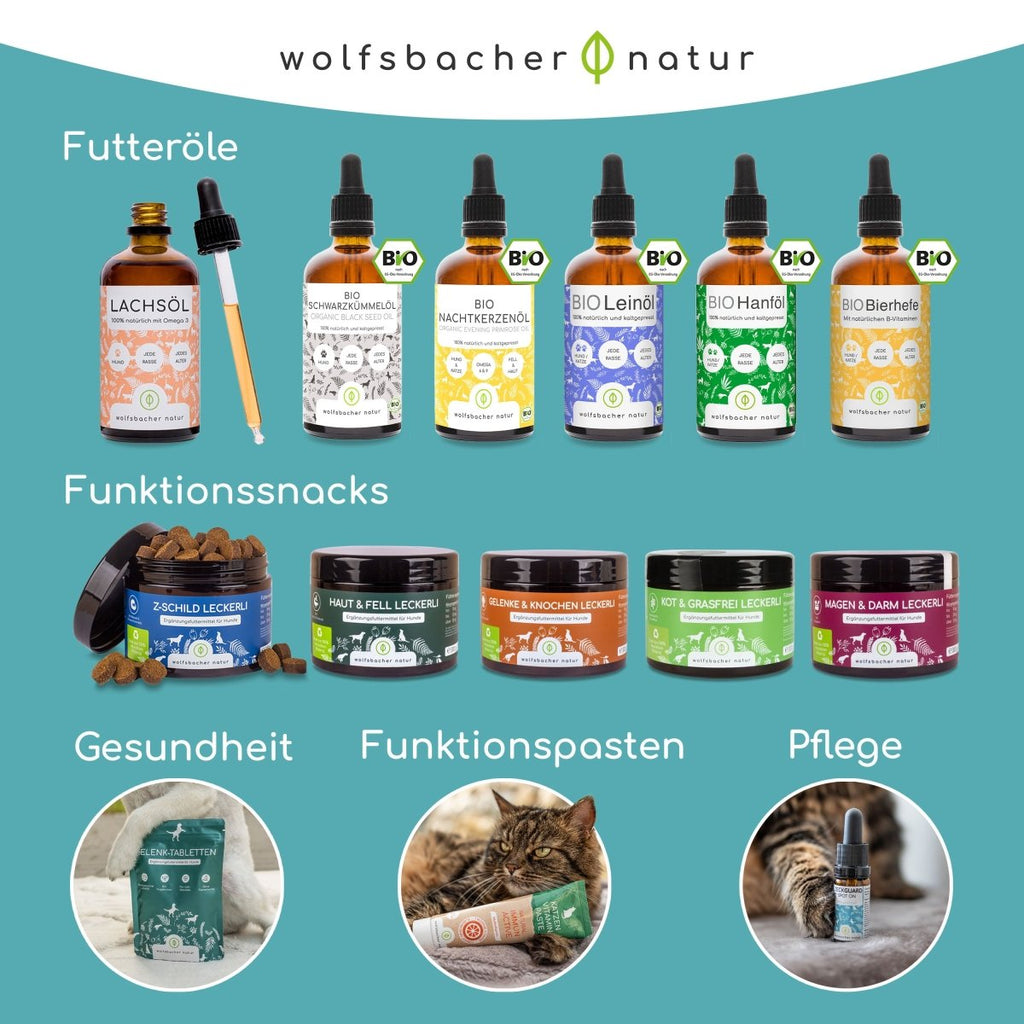 Matatabi Minze Sticks für Katzen - Wolfsbacher Natur - empact brands - Default