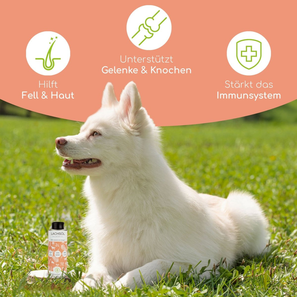 Natürliches Lachsöl für Hunde & Katzen - Wolfsbacher Natur - empact brands - 250ml