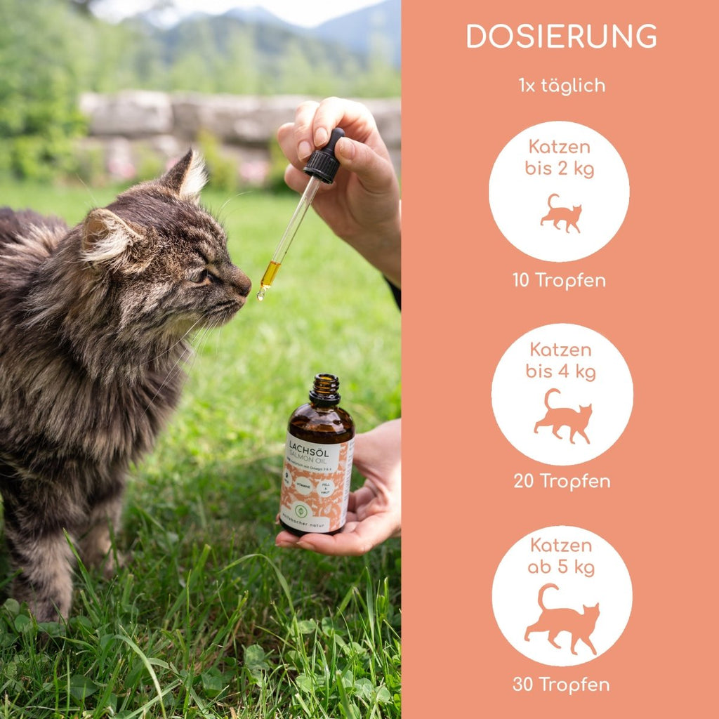 Natürliches Lachsöl für Hunde & Katzen - Wolfsbacher Natur - empact brands - 100ml (Katze)