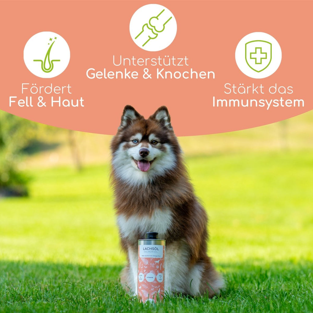 Natürliches Lachsöl für Hunde & Katzen - Wolfsbacher Natur - empact brands - 1 Liter