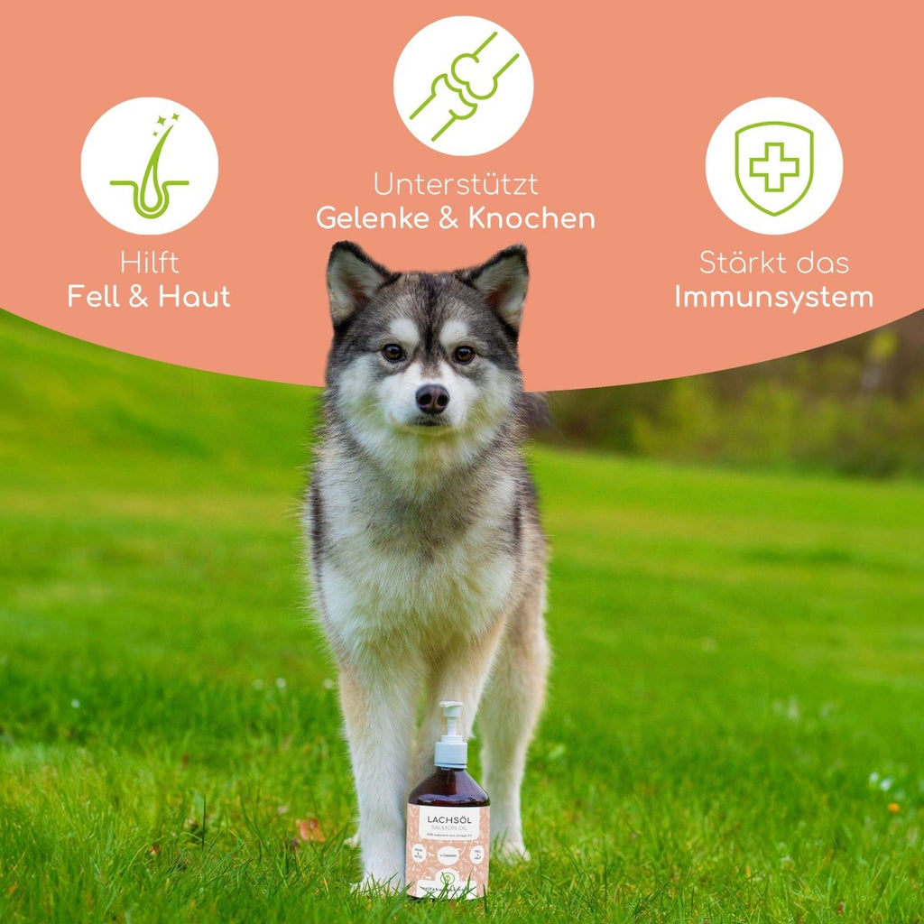 Natürliches Lachsöl für Hunde & Katzen - Wolfsbacher Natur - empact brands - 500ml