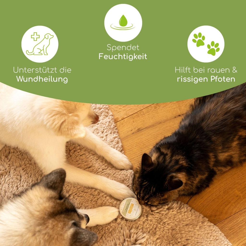 Pfotenbalsam - Wolfsbacher Natur - empact brands - 