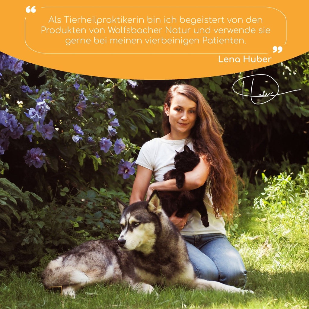 Picco Bello - Welpen - Shampoo - Wolfsbacher Natur - empact brands - 