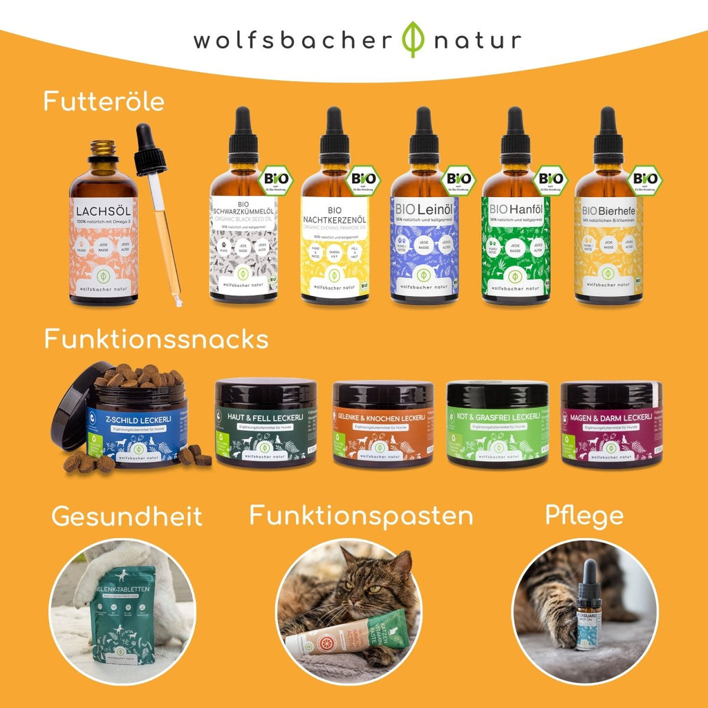 Picco Bello - Welpen - Shampoo - Wolfsbacher Natur - empact brands - 