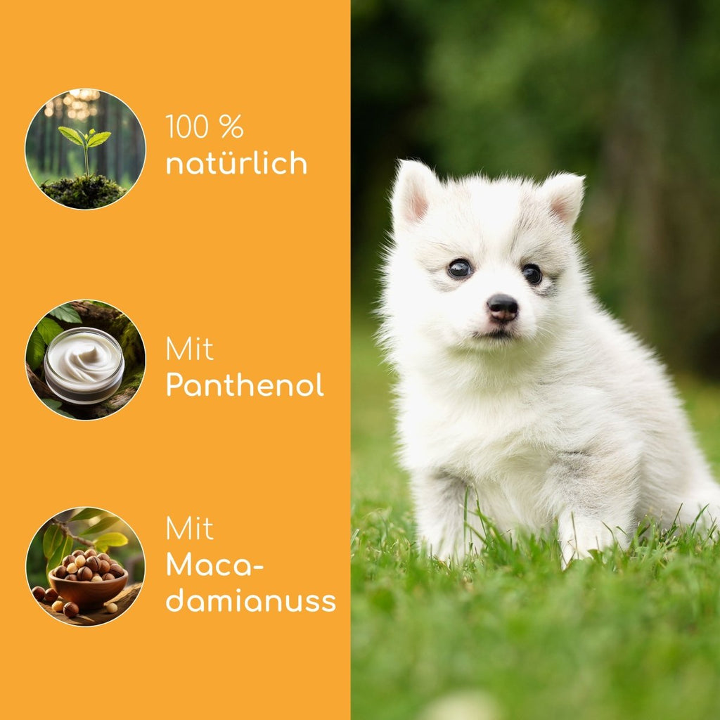 Picco Bello - Welpen - Shampoo - Wolfsbacher Natur - empact brands - 