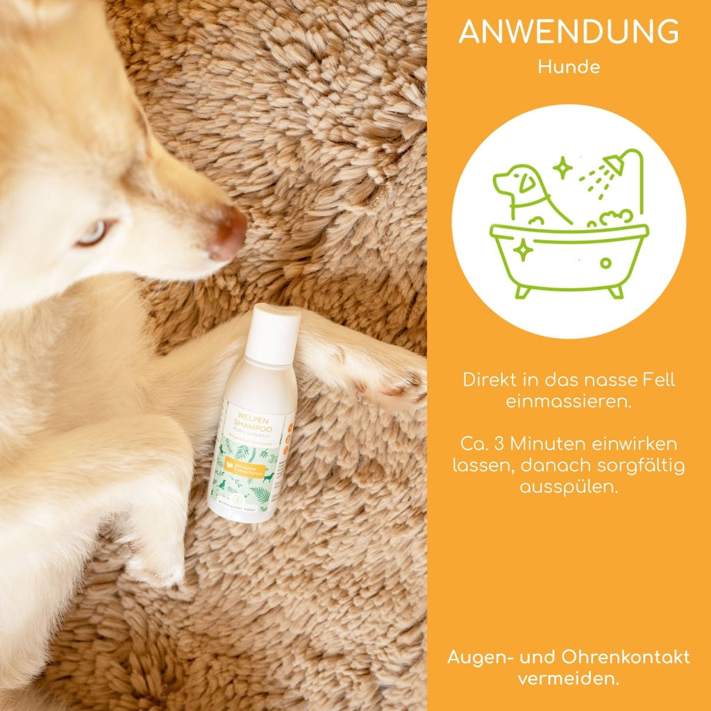 Picco Bello - Welpen - Shampoo - Wolfsbacher Natur - empact brands - 