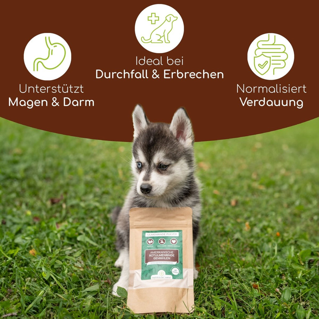 Ulmenrinde - Wolfsbacher Natur - empact brands - 1x 60g