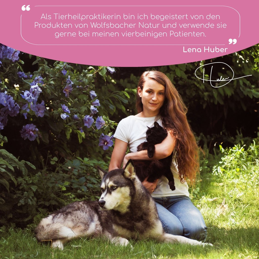 Venus Balance Pulver - Wolfsbacher Natur - empact brands - 