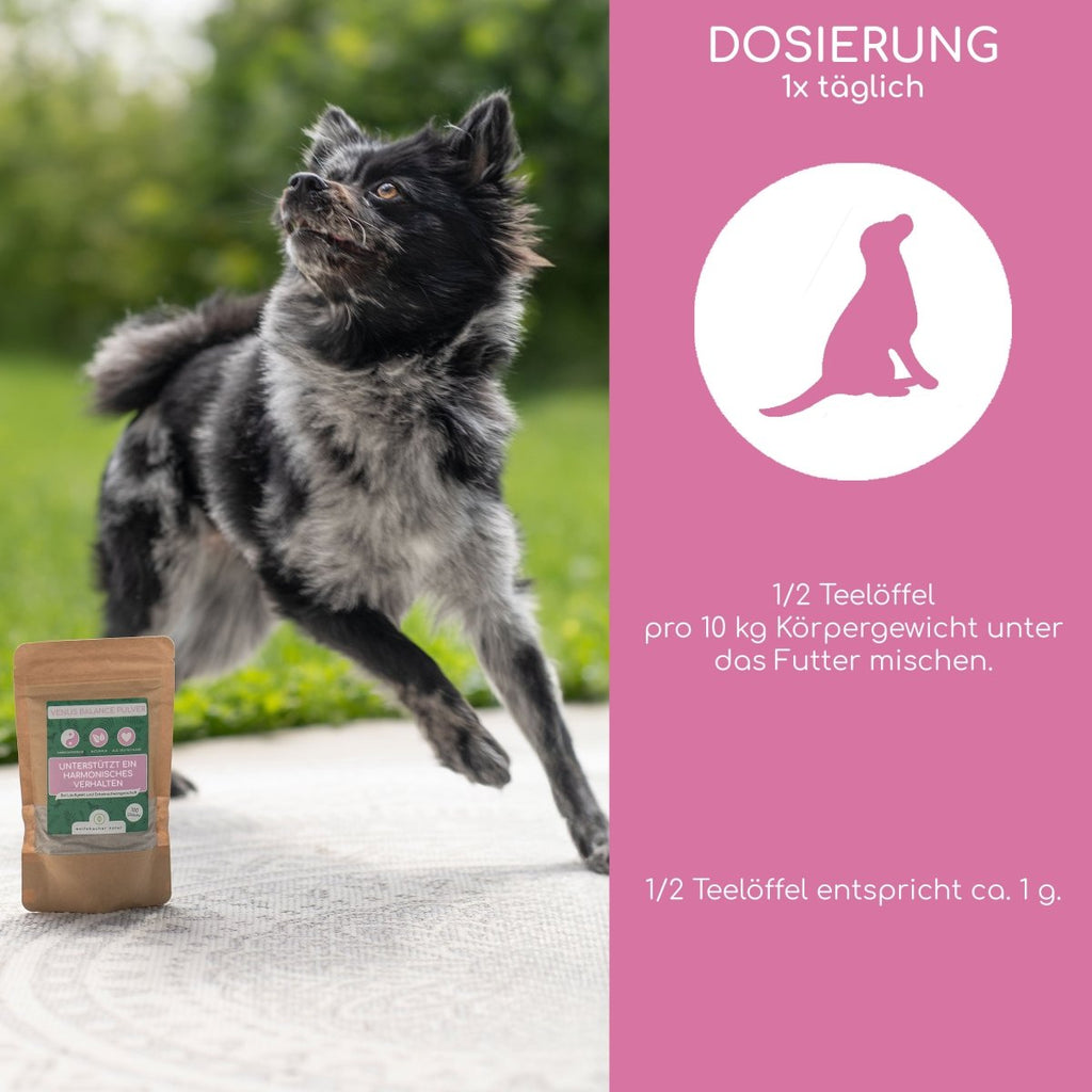 Venus Balance Pulver - Wolfsbacher Natur - empact brands - 