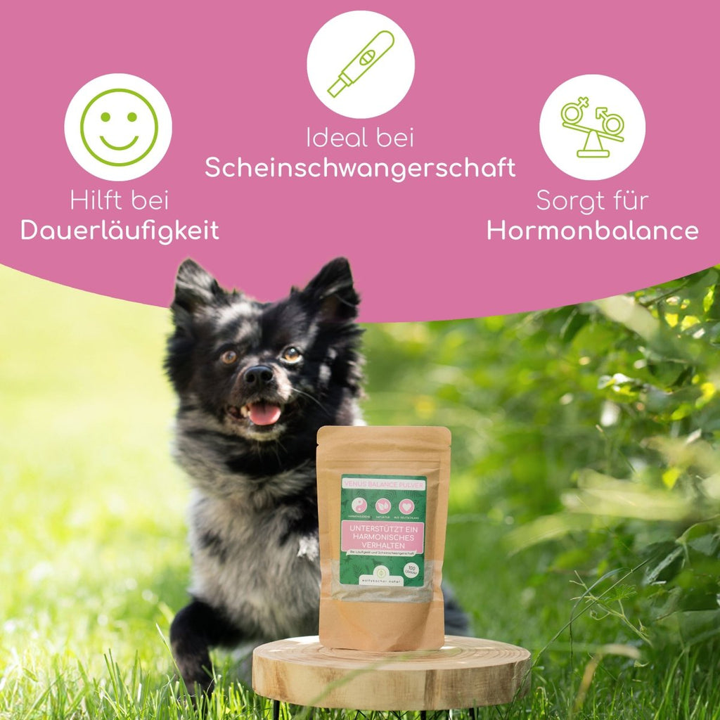 Venus Balance Pulver - Wolfsbacher Natur - empact brands - 