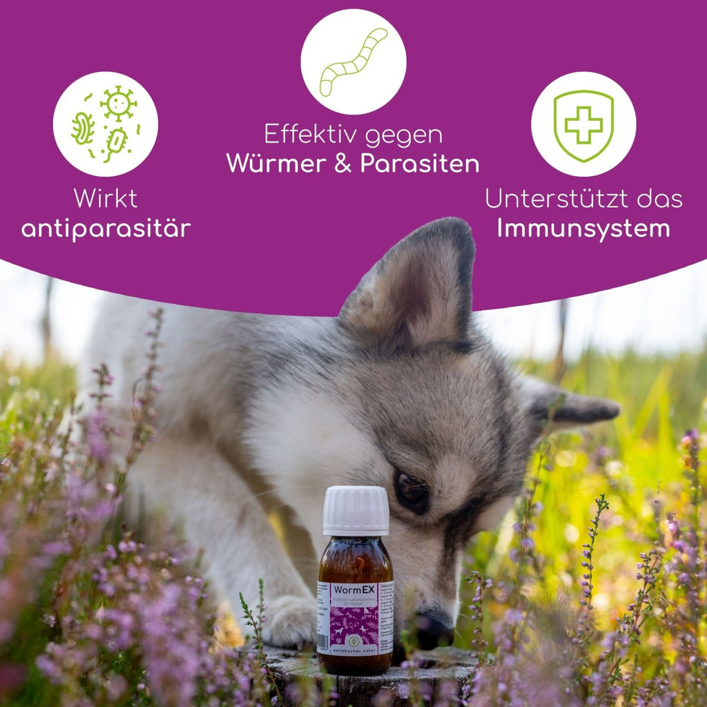 WormEX - Wurmmittel für Hunde - Wolfsbacher Natur - empact brands - 