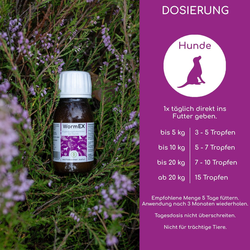 WormEX - Wurmmittel für Hunde - Wolfsbacher Natur - empact brands - 