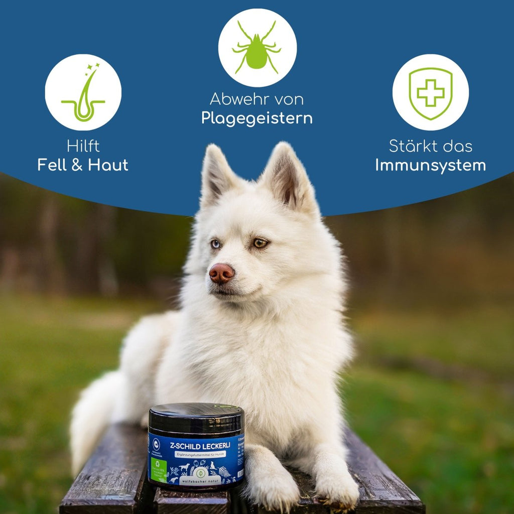 Z - Schild Snacks für Hunde - Wolfsbacher Natur - empact brands - 