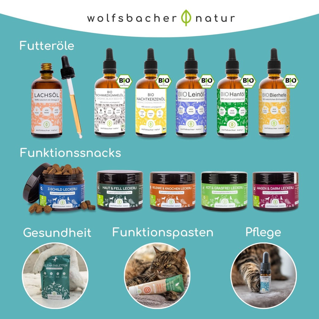 Zahnpflege Pulver - Wolfsbacher Natur - empact brands - 