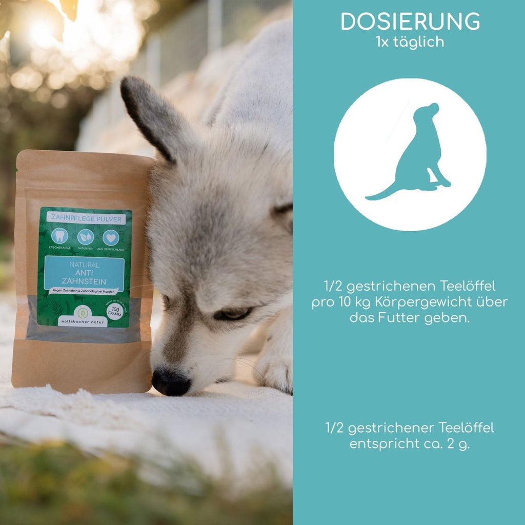 Zahnpflege Pulver - Wolfsbacher Natur - empact brands - 