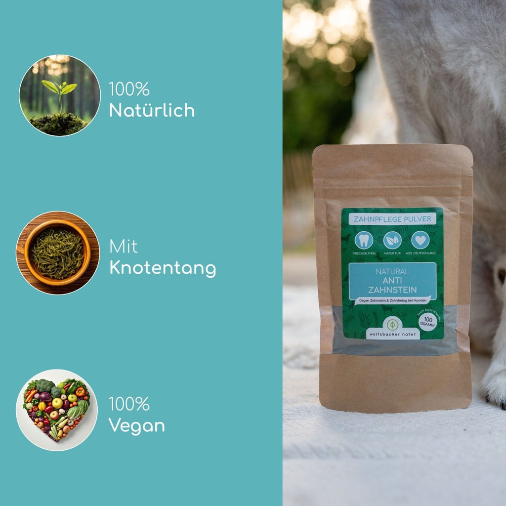 Zahnpflege Pulver - Wolfsbacher Natur - empact brands - 