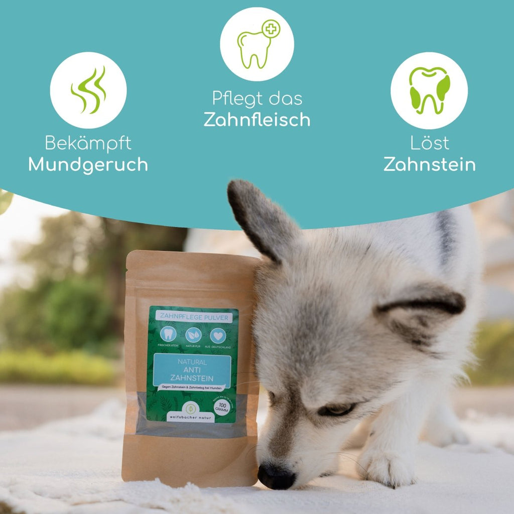 Zahnpflege Pulver - Wolfsbacher Natur - empact brands - 