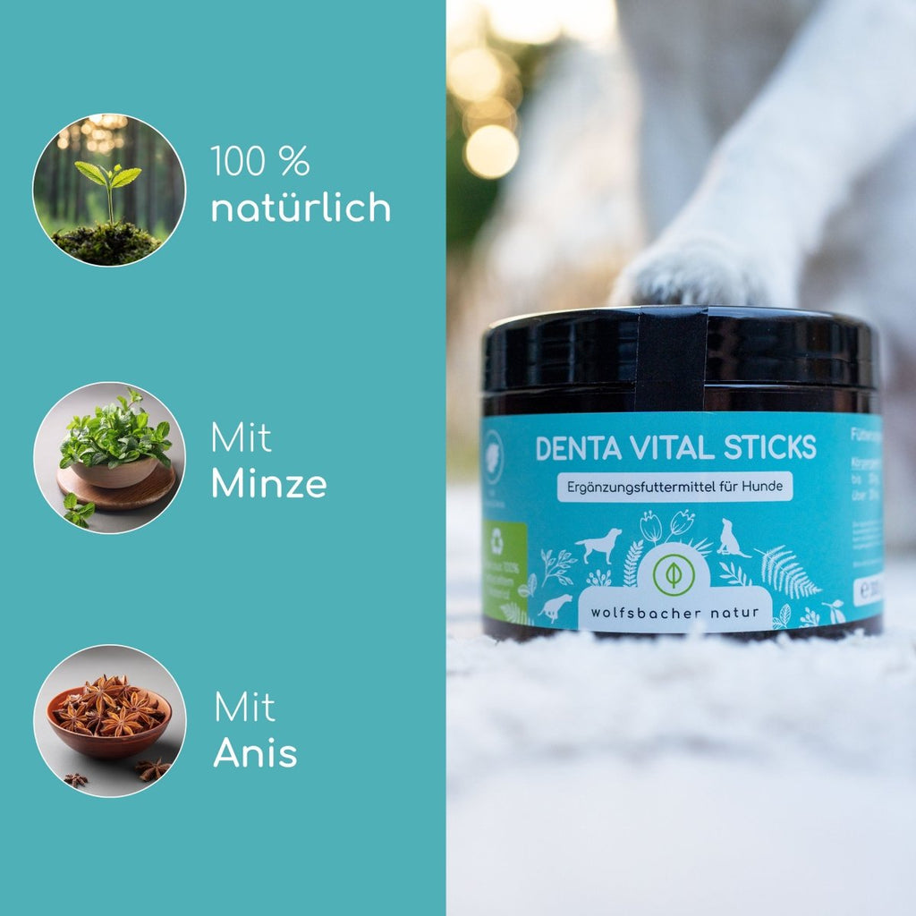 Zahnpflege Snacks für Hunde - Wolfsbacher Natur - empact brands - 
